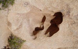 Desert-9web